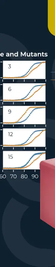 PP038 Application Note Amends PSL Resized Image04 Comparison Between Wild Type And Mutants 01 (1)